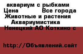 аквариум с рыбками › Цена ­ 1 000 - Все города Животные и растения » Аквариумистика   . Ненецкий АО,Коткино с.